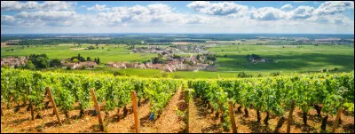 Quel est le numéro de la Côte-dOr, réputée pour sa moutarde ?