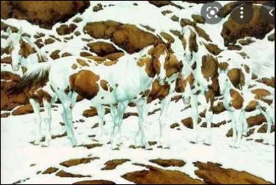 Que vois-tu en premier ?