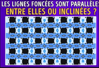 Est-ce que les lignes bleu fonc&eacute; sont-elles droites ou inclin&eacute;es ?