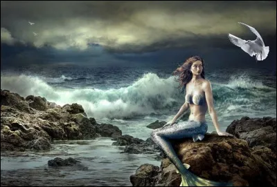 On les surnomme "vaches marines" car ils broutent souvent les herbiers marins mais on les appelle aussi sirènes (à vrai dire, celles de notre imaginaire sont beaucoup plus gracieuses).