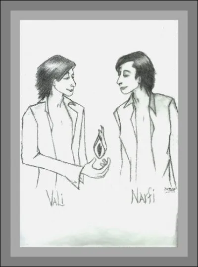 En 2003, un nouveau satellite a été découvert ; les scientifiques l'ont nommé Narvi, un des fils de Loki et Sigyn. Qui n'est pas un demi-frère de Narfi ?