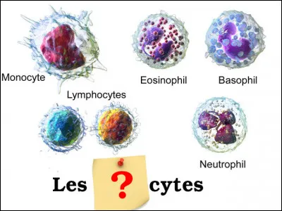 C'est pas le moment de coincer le globule ! Enfin si, justement !