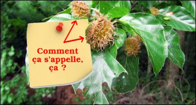 La question est dans la question...