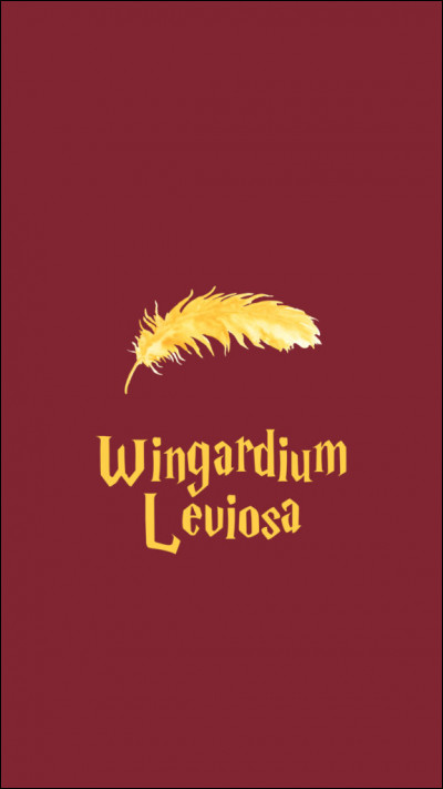 À quoi sert "Wingardium Leviosa" ?