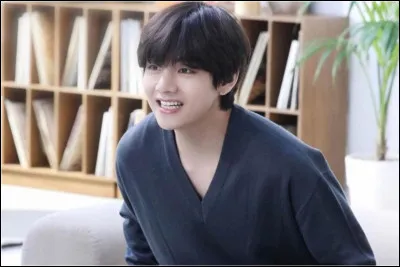 Jungkook ou Taehyung ?