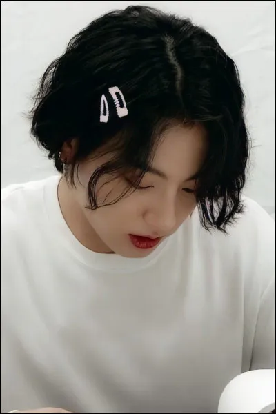 Jungkook ou Taehyung ?