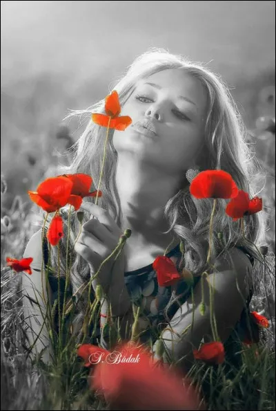 Quel vêtement était rouge dans le livre de Gilles Perrault ?