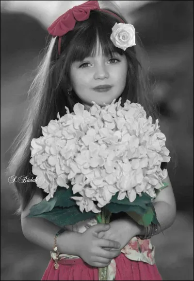 Comment était vêtue la petite fille oubliée dans la chanson "Rockcollection" de Voulzy ?