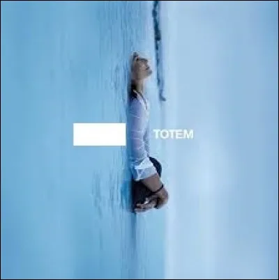 Quelle chanteuse a sorti un album studio intitulé "Totem" en 2007 ?
