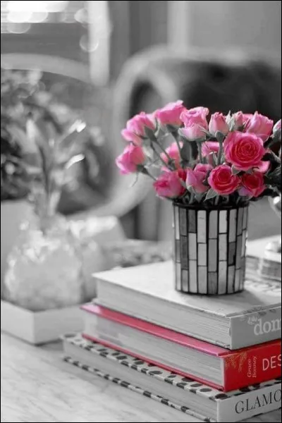 Dans le livre d'Henri Troyat, qu'est-ce qui était de Saint-Petersbourg ?