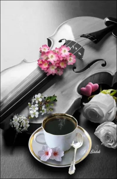 Comment sont habillés les parents à Saint-Malo, dans la chanson "Rockcollection" de Laurent Voulzy ?