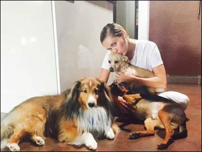 Combien de chiens Miley Cyrus possède-t-elle ?