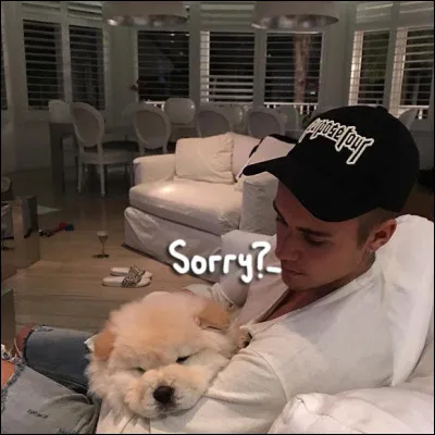 Combien de chiens possède Justin Bieber ?