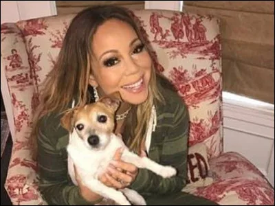 Combien de chiens possède Mariah Carey ?