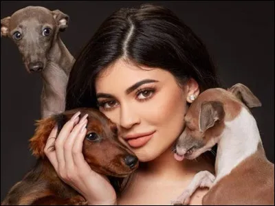 Kylie Jenner possède-t-elle plus de 5 chiens ?