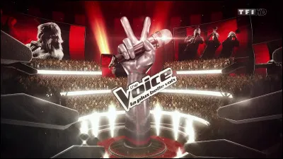 Qui a remporté "The Voice" parmi ces artistes nommés ci-dessous ?