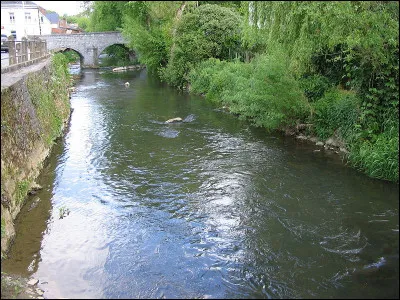 Qu'est-ce que l'hypsomie ?