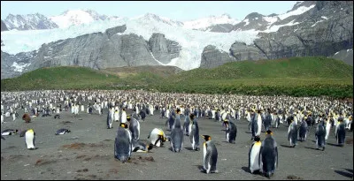 Quel est l'autre nom des îles Malouines ?