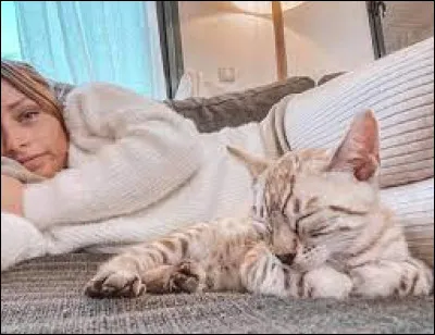 Quelle est la race de son chat ?