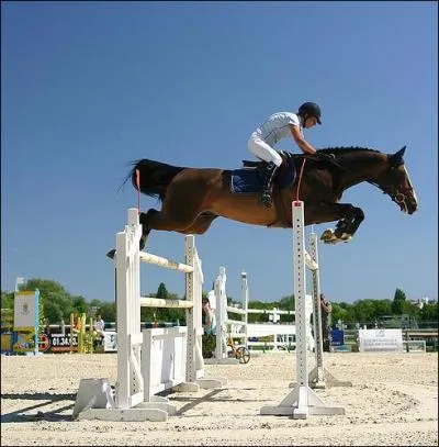 Quel est le nom de l'obstacle sur la photo ?