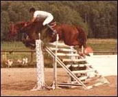 Quel est le nom de l'obstacle sur la photo ?