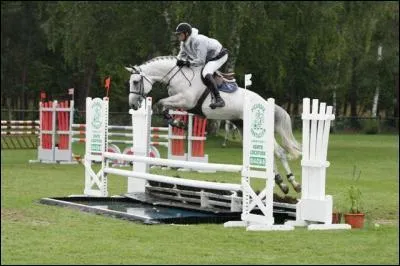 Quel est le nom de l'obstacle sur la photo ?