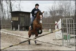 Quel est le nom de l'obstacle sur la photo ?