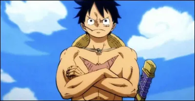 Luffy veut devenir le roi des pirates.