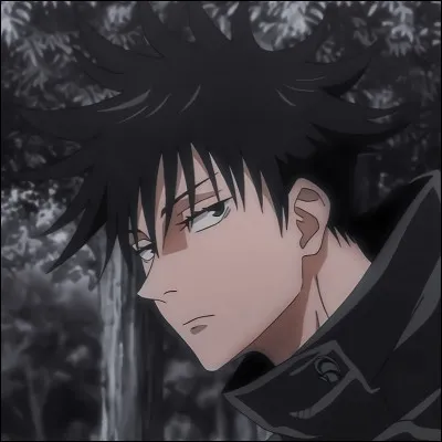 Jujutsu Kaisen : Quel âge a Megumi Fushiguro ?