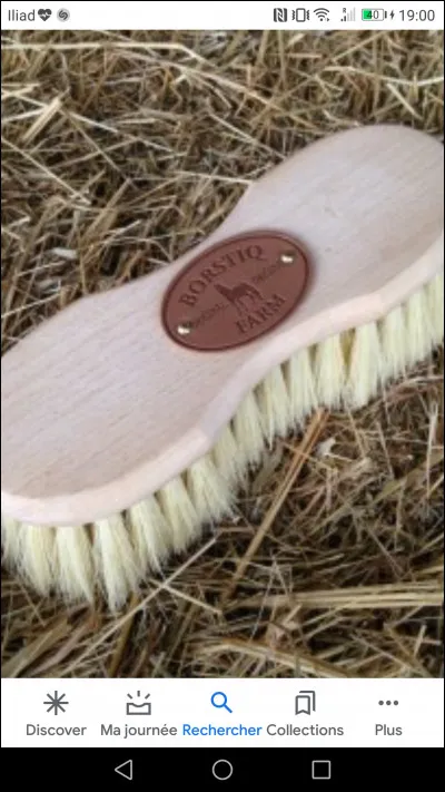 Comment s'appelle cette brosse ?