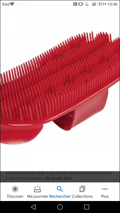 Comment s'appelle cette étrille ?