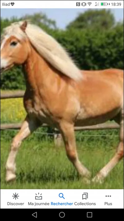 Comment s'appelle cette robe ?