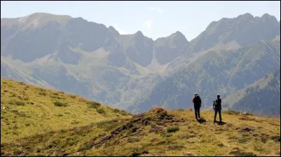 Vous avez emporté de la nourriture avec vous en prévision d'une rencontre possible : avez-vous bien fait ?