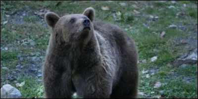 Il est à 30 mètres de vous ...