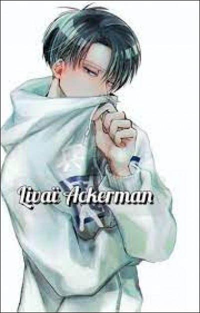 Quel est le signe astrologique de Livaï ?