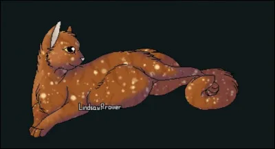 Quelle couleur de chat es-tu ?