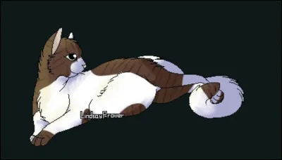 Quel mot pr&eacute;f&egrave;res-tu ?