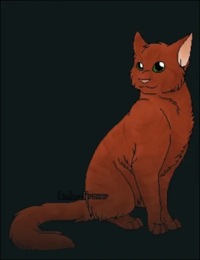 Et pour finir qui voudrais-tu comme compagne ?