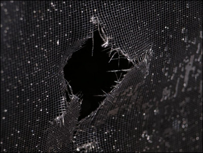 Si tu devais le sauver ou sauver ta meilleure amie, qui choisirais-tu ?