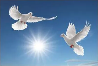 Qui a chanté "Mille colombes" ?