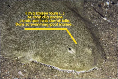 Pour elle, c'est aussi l'été meurtrier... Un nom qui rime avec Isabolle (Adjani).