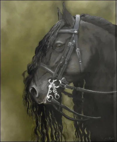 Quelle est la discipline dans laquelle il excelle ?