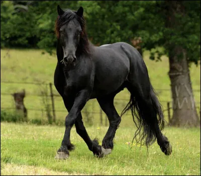 En quelle année a-t-il failli disparaître ?