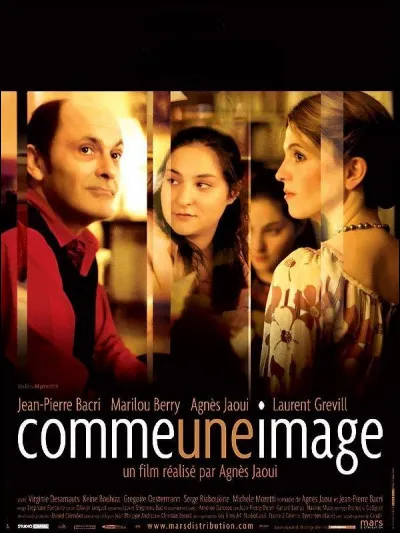 Quel prix le film "Comme une image" reçoit-il au Festival de Cannes 2004 ?