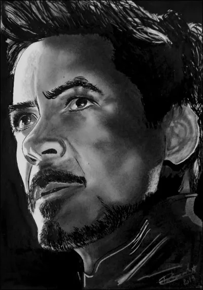 D'après lui-même, Tony Stark est un :