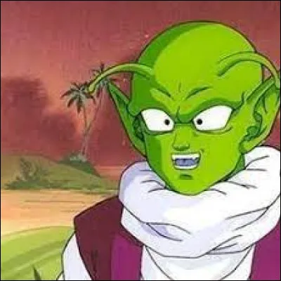 Qui est ce personnage bien connu de la planète Namek ?