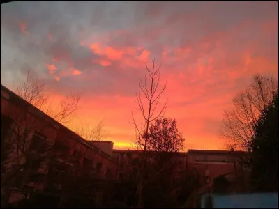 À quel auteur doit-on "Étoiles, garde-à-vous !" ?