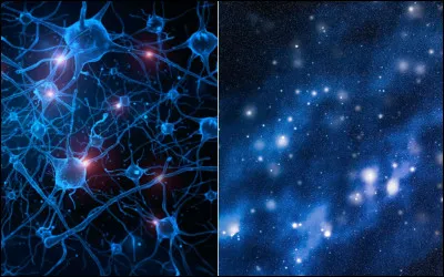 Quel auteur a écrit "Ubik" ?