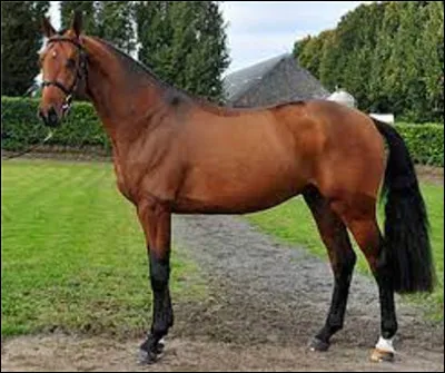 Et là ? C'est facile !