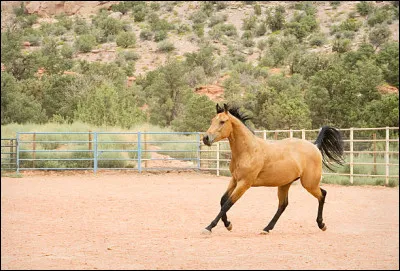 Si belle, si soyeuse ! Cette robe est :